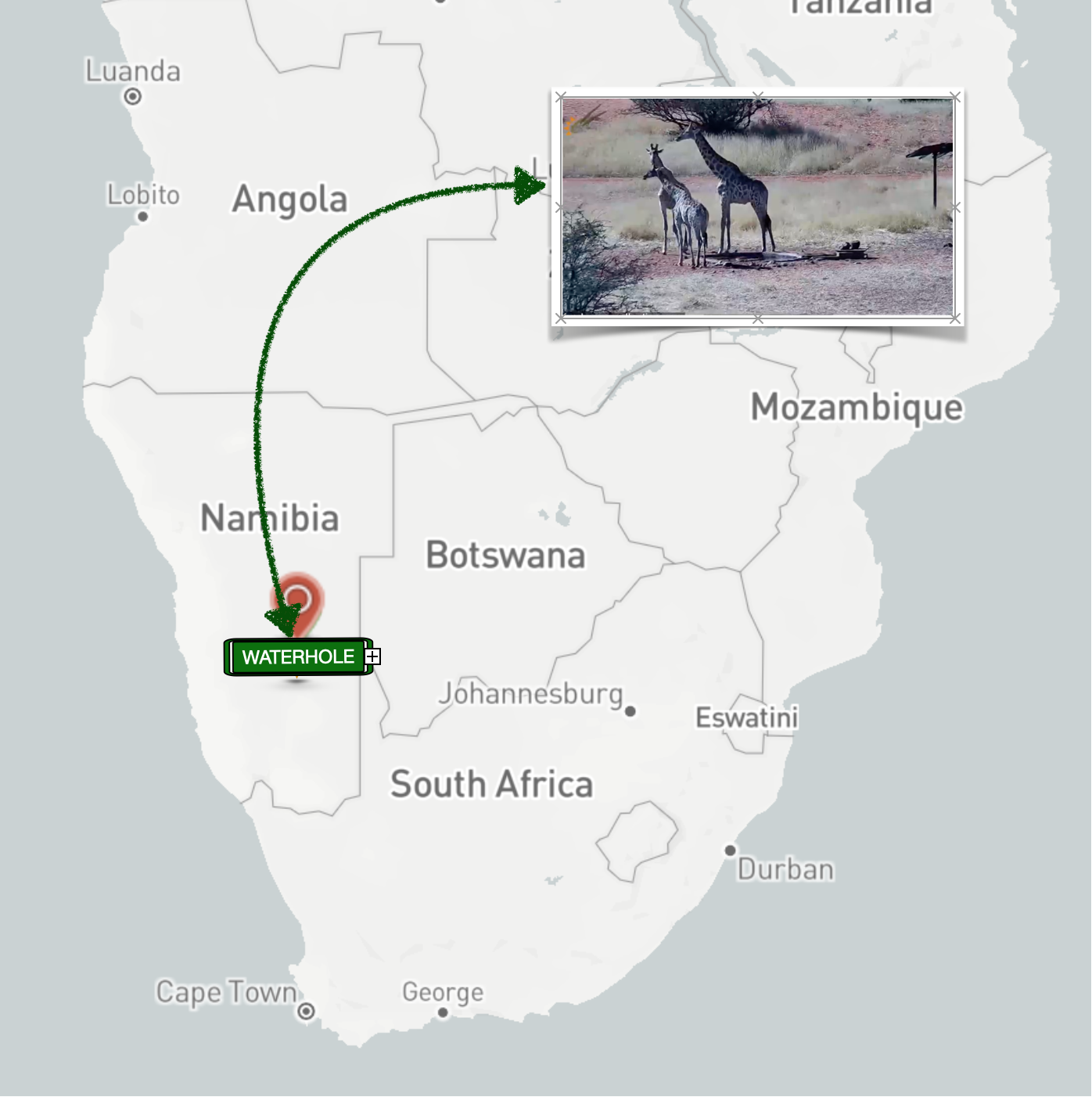 Kalahari Desert Live Stream